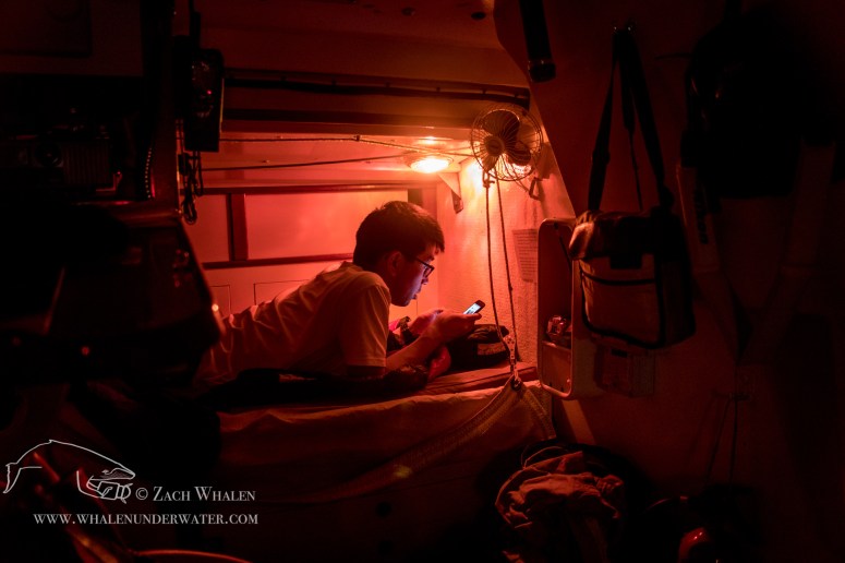 Zach_whalen_share-49